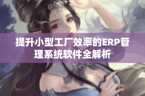 提升小型工廠效率的ERP管理系統軟件全解析