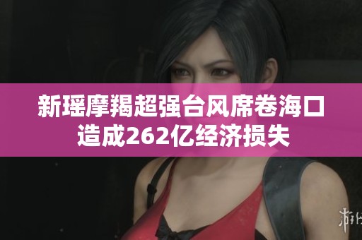 新瑤摩羯超強臺風席卷海口 造成262億經濟損失