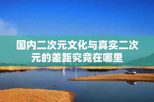 國內二次元文化與真實二次元的差距究竟在哪里