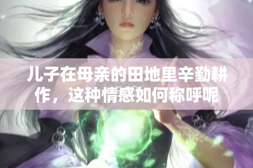 兒子在母親的田地里辛勤耕作，這種情感如何稱呼呢