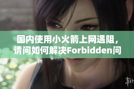 國內使用小火箭上網遇阻，請問如何解決Forbidden問題