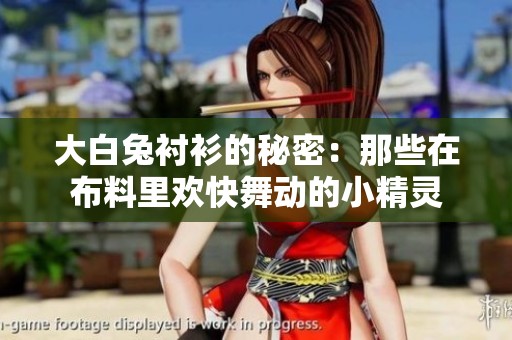 大白兔襯衫的秘密：那些在布料里歡快舞動的小精靈
