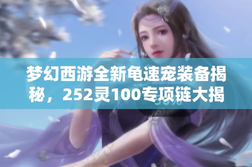 夢(mèng)幻西游全新龜速寵裝備揭秘，252靈100專項(xiàng)鏈大揭秘