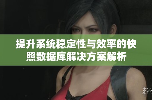 提升系統穩定性與效率的快照數據庫解決方案解析