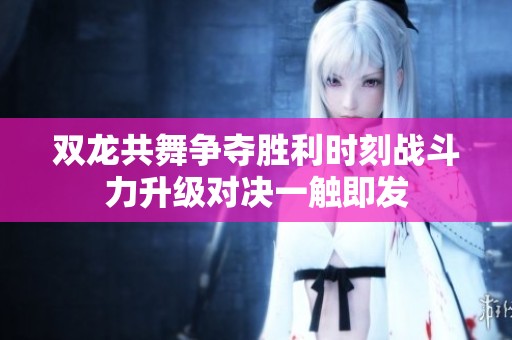雙龍共舞爭奪勝利時刻戰斗力升級對決一觸即發