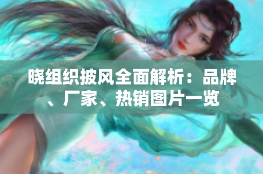 曉組織披風(fēng)全面解析：品牌、廠家、熱銷圖片一覽