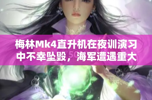 梅林Mk4直升機在夜訓演習中不幸墜毀，海軍遭遇重大損失