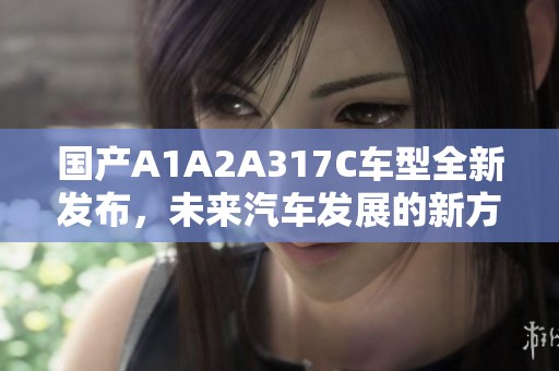 國產A1A2A317C車型全新發布，未來汽車發展的新方向