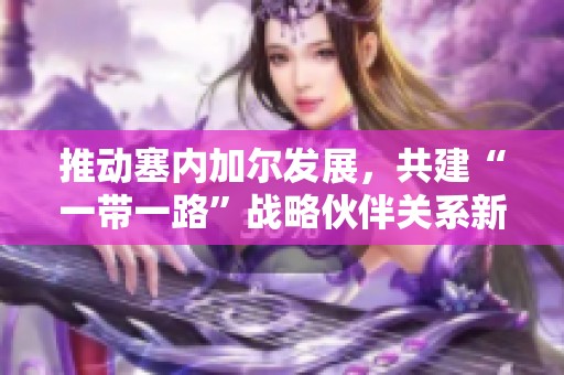 推動塞內加爾發展，共建“一帶一路”戰略伙伴關系新機遇