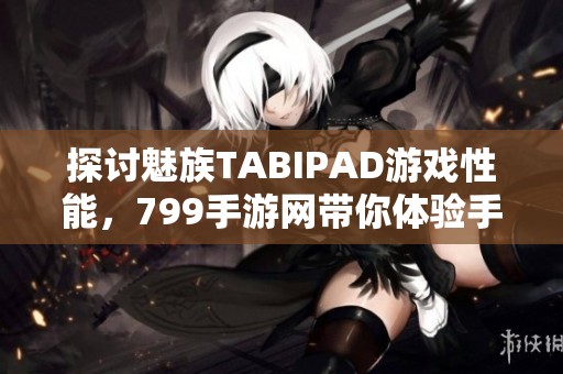 探討魅族TABIPAD游戲性能，799手游網帶你體驗手游新世界