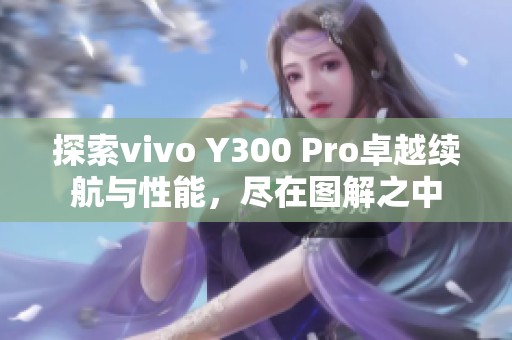 探索vivo Y300 Pro卓越續(xù)航與性能，盡在圖解之中