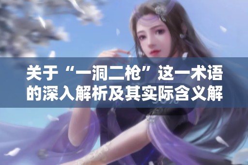 關于“一洞二槍”這一術語的深入解析及其實際含義解析