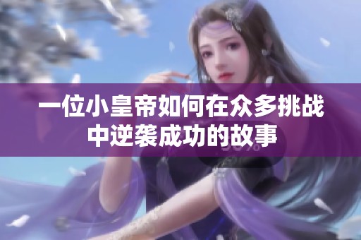 一位小皇帝如何在眾多挑戰中逆襲成功的故事