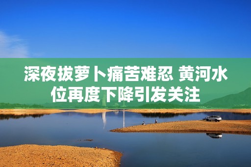 深夜拔蘿卜痛苦難忍 黃河水位再度下降引發(fā)關(guān)注