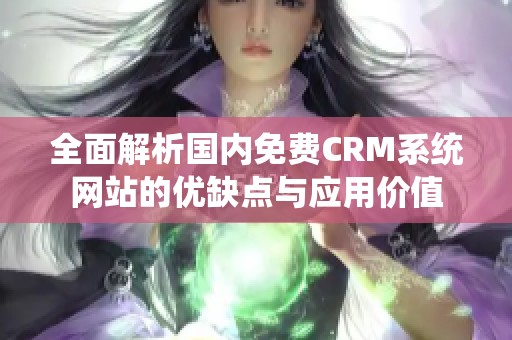 全面解析國內免費CRM系統網站的優缺點與應用價值