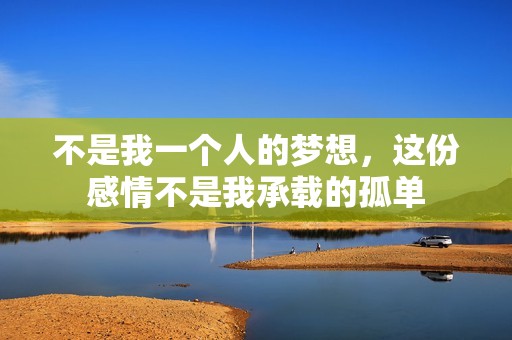 不是我一個人的夢想，這份感情不是我承載的孤單
