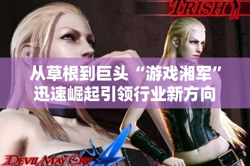 從草根到巨頭“游戲湘軍”迅速崛起引領行業(yè)新方向