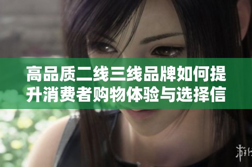 高品質二線三線品牌如何提升消費者購物體驗與選擇信心