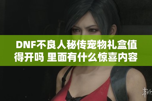DNF不良人秘傳寵物禮盒值得開嗎 里面有什么驚喜內容揭秘