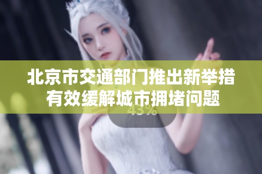 北京市交通部門推出新舉措 有效緩解城市擁堵問題