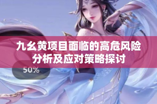 九幺黃項目面臨的高危風險分析及應對策略探討