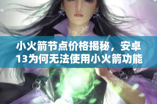 小火箭節(jié)點(diǎn)價(jià)格揭秘,安卓13為何無(wú)法使用小火箭功能 小火箭節(jié)點(diǎn)價(jià)格揭秘,安卓13為何無(wú)法使用小火箭功能