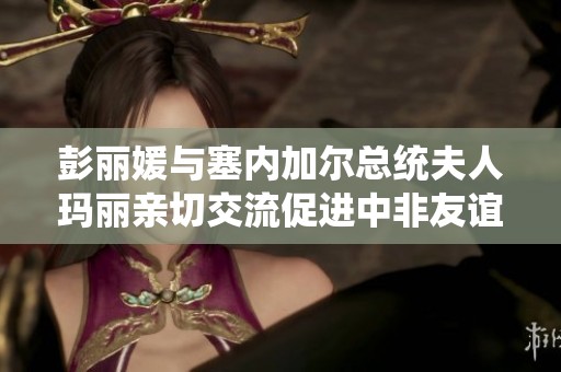 彭麗媛與塞內加爾總統夫人瑪麗親切交流促進中非友誼