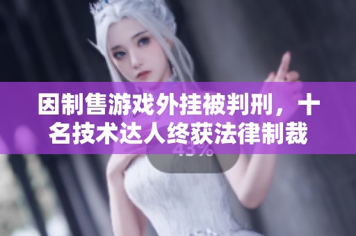 因制售游戲外掛被判刑，十名技術達人終獲法律制裁