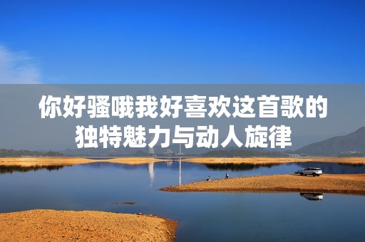 你好騷哦我好喜歡這首歌的獨特魅力與動人旋律