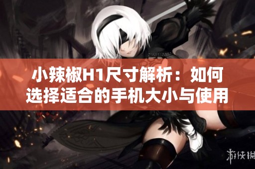 小辣椒H1尺寸解析：如何選擇適合的手機大小與使用體驗