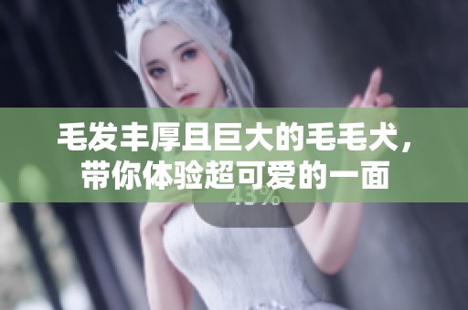 毛發(fā)豐厚且巨大的毛毛犬，帶你體驗超可愛的一面