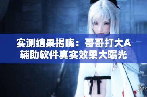實測結果揭曉：哥哥打大A輔助軟件真實效果大曝光