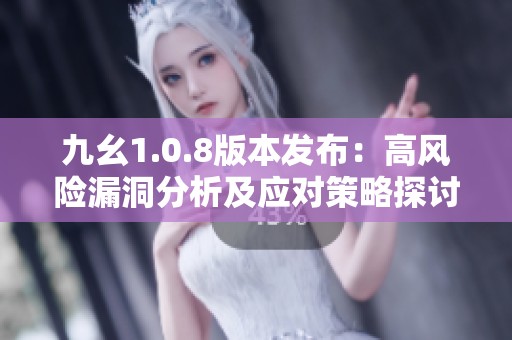 九幺1.0.8版本發布：高風險漏洞分析及應對策略探討