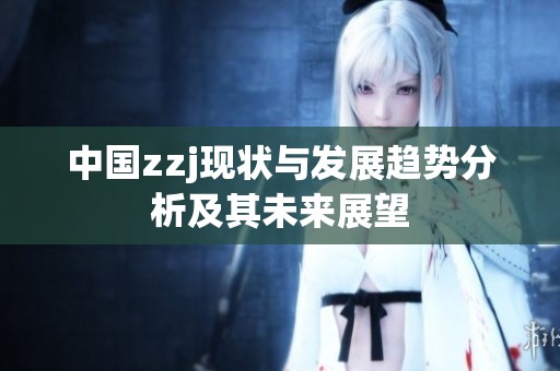 中國zzj現狀與發展趨勢分析及其未來展望