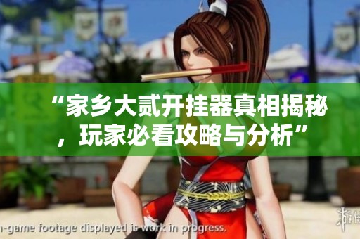 “家鄉(xiāng)大貳開掛器真相揭秘，玩家必看攻略與分析”