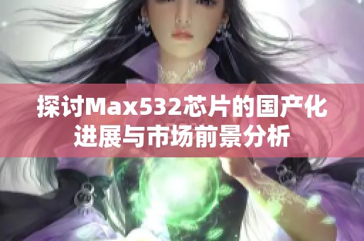 探討Max532芯片的國產化進展與市場前景分析