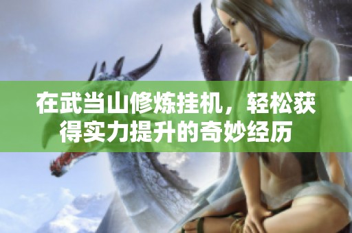 在武當山修煉掛機，輕松獲得實力提升的奇妙經歷