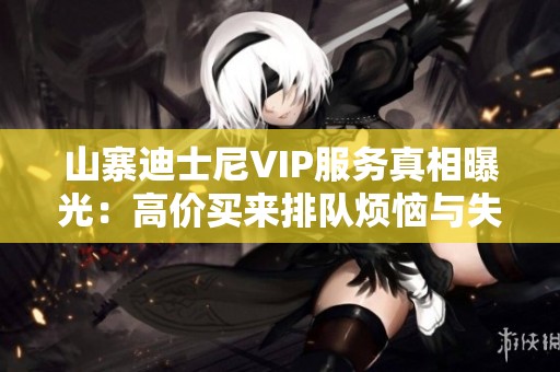 山寨迪士尼VIP服務(wù)真相曝光：高價(jià)買(mǎi)來(lái)排隊(duì)煩惱與失落
