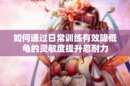 如何通過日常訓練有效降低龜的靈敏度提升忍耐力