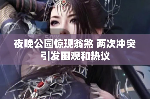 夜晚公園驚現翁煞 兩次沖突引發圍觀和熱議