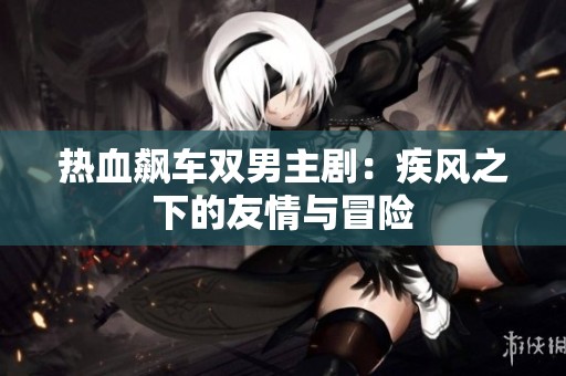 熱血飆車雙男主劇：疾風(fēng)之下的友情與冒險(xiǎn)