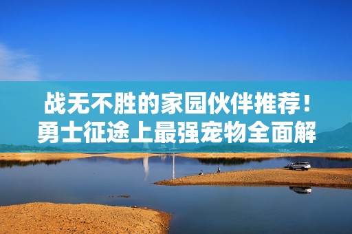 戰(zhàn)無不勝的家園伙伴推薦！勇士征途上最強寵物全面解析