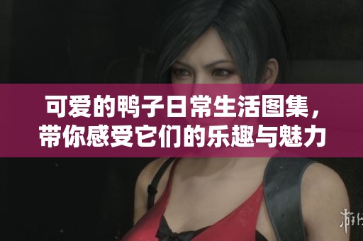 可愛的鴨子日常生活圖集，帶你感受它們的樂趣與魅力