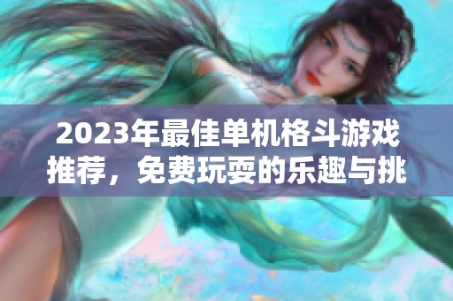 2023年最佳單機格斗游戲推薦，免費玩耍的樂趣與挑戰