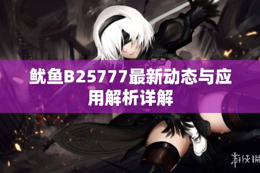 魷魚B25777最新動態與應用解析詳解