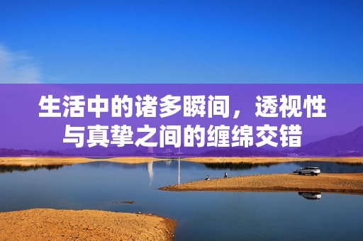 生活中的諸多瞬間，透視性與真摯之間的纏綿交錯