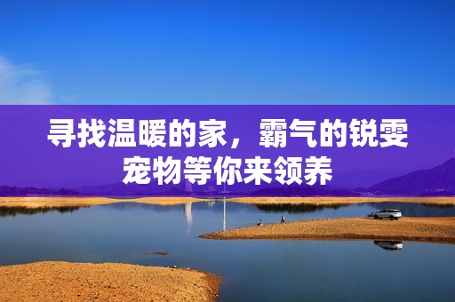 尋找溫暖的家，霸氣的銳雯寵物等你來領養