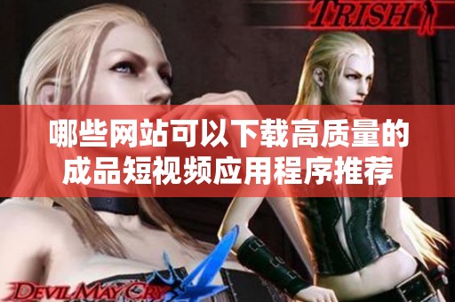 哪些網(wǎng)站可以下載高質(zhì)量的成品短視頻應(yīng)用程序推薦