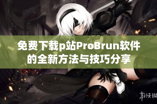 免費下載p站ProBrun軟件的全新方法與技巧分享
