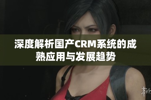 深度解析國(guó)產(chǎn)CRM系統(tǒng)的成熟應(yīng)用與發(fā)展趨勢(shì)